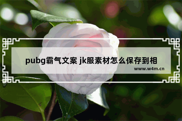 pubg霸气文案 jk服素材怎么保存到相册