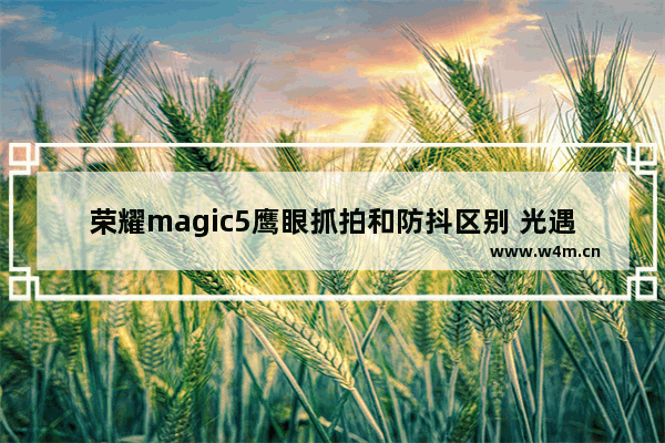 荣耀magic5鹰眼抓拍和防抖区别 光遇鹰眼显示