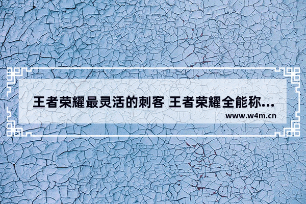 王者荣耀最灵活的刺客 王者荣耀全能称号里 刺客有哪些