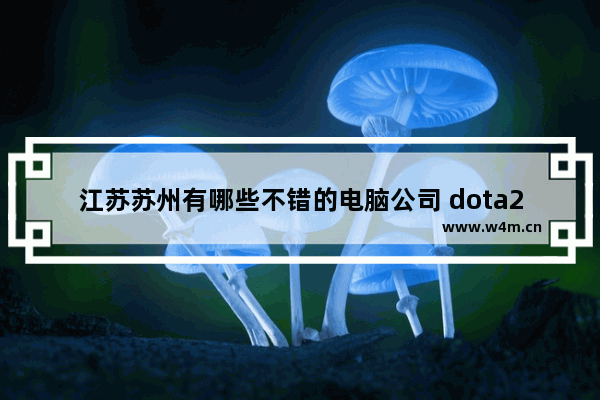 江苏苏州有哪些不错的电脑公司 dota2卡尔宏