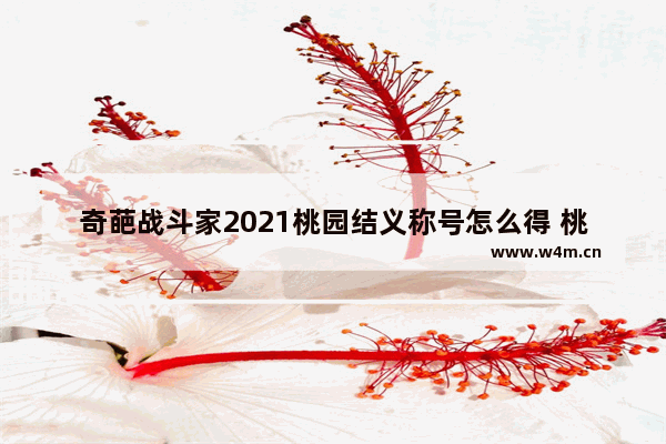 奇葩战斗家2021桃园结义称号怎么得 桃园结义王者荣耀