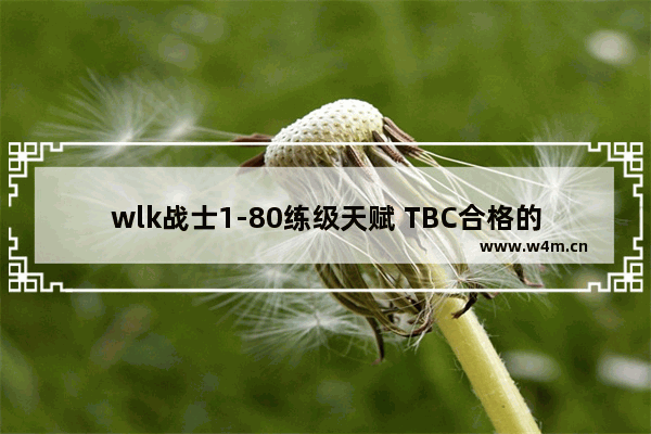 wlk战士1-80练级天赋 TBC合格的狂暴战士入门装备选择