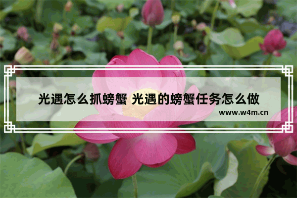 光遇怎么抓螃蟹 光遇的螃蟹任务怎么做