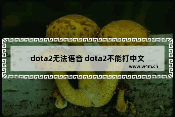 dota2无法语音 dota2不能打中文