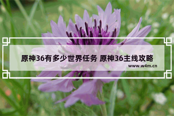 原神36有多少世界任务 原神36主线攻略