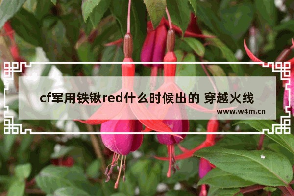 cf军用铁锹red什么时候出的 穿越火线军用铁锹