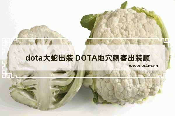 dota大蛇出装 DOTA地穴刺客出装顺序