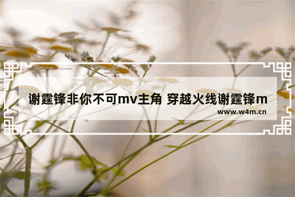 谢霆锋非你不可mv主角 穿越火线谢霆锋mv