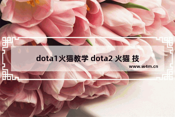 dota1火猫教学 dota2 火猫 技巧