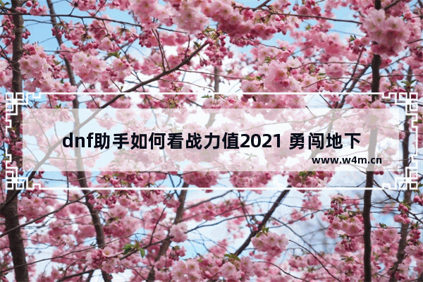 dnf助手如何看战力值2021 勇闯地下城装备怎么会不见了