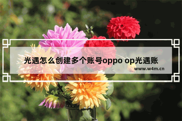 光遇怎么创建多个账号oppo op光遇账号