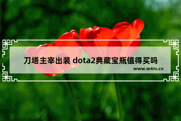 刀塔主宰出装 dota2典藏宝瓶值得买吗