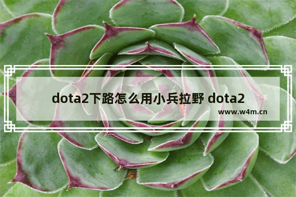 dota2下路怎么用小兵拉野 dota2拉野技巧