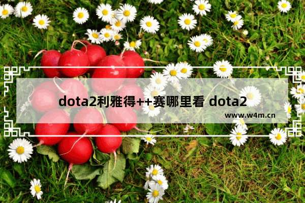 dota2利雅得++赛哪里看 dota2新英雄木偶++什么时候上线