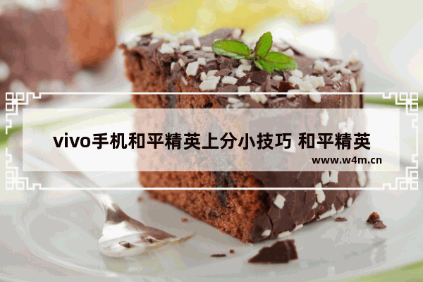 vivo手机和平精英上分小技巧 和平精英手机两指怎么玩最牛逼