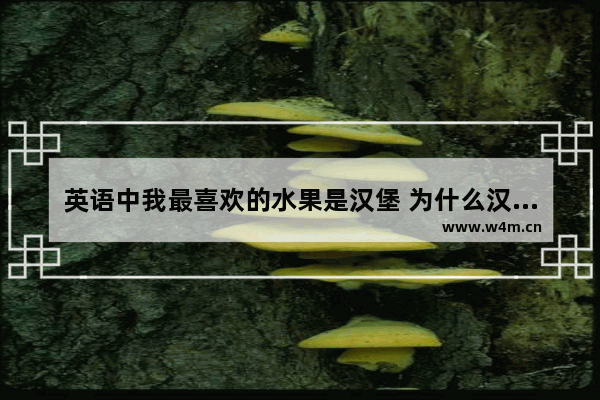 英语中我最喜欢的水果是汉堡 为什么汉堡要用复数 光遇is 汉堡