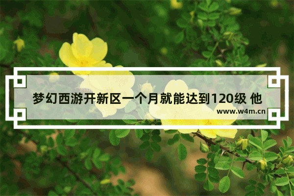 梦幻西游开新区一个月就能达到120级 他们是怎么升级的 地下城与勇士怎么升级角色