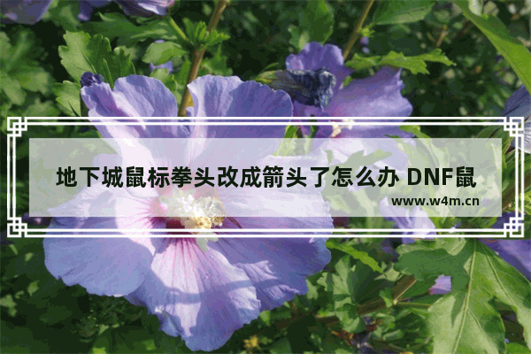 地下城鼠标拳头改成箭头了怎么办 DNF鼠标突然变成箭头 各种点不动 何解