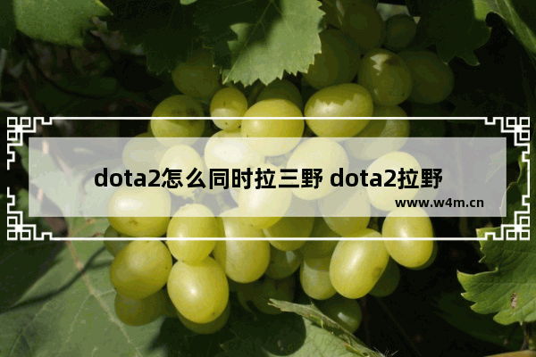 dota2怎么同时拉三野 dota2拉野怪