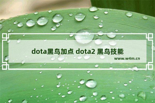 dota黑鸟加点 dota2 黑鸟技能