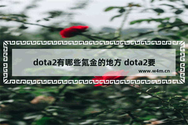 dota2有哪些氪金的地方 dota2要钱的吗