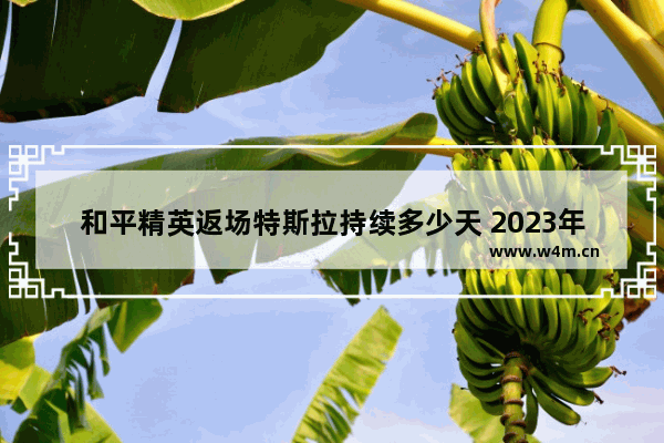 和平精英返场特斯拉持续多少天 2023年和平精英特斯拉会不会返场