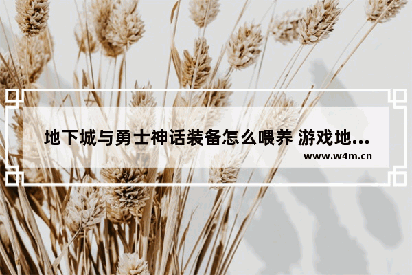 地下城与勇士神话装备怎么喂养 游戏地下城与勇士神话攻略