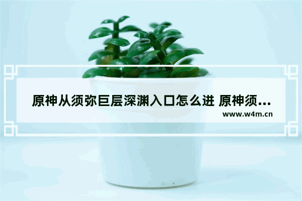 原神从须弥巨层深渊入口怎么进 原神须弥四个火盆怎么解谜