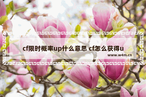 cf限时概率up什么意思 cf怎么获得up主认证