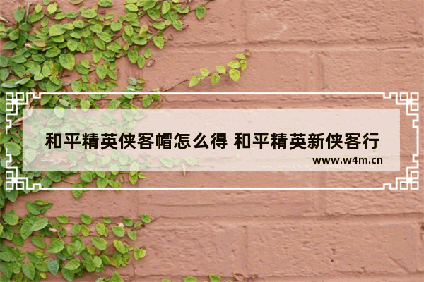 和平精英侠客帽怎么得 和平精英新侠客行