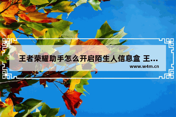 王者荣耀助手怎么开启陌生人信息盒 王者荣耀盒子助手