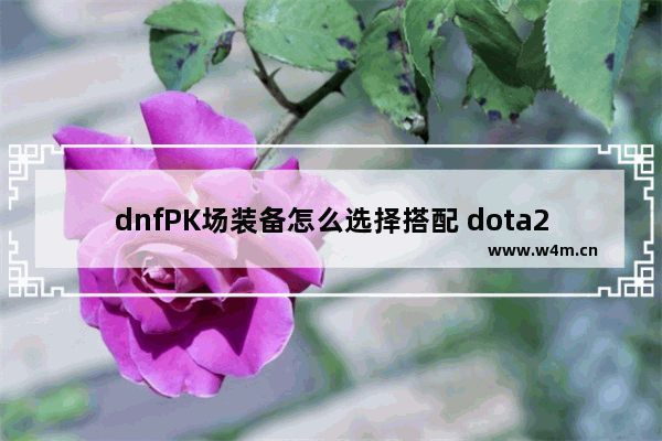 dnfPK场装备怎么选择搭配 dota2 火卡加点