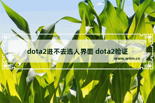 dota2进不去选人界面 dota2验证被拒