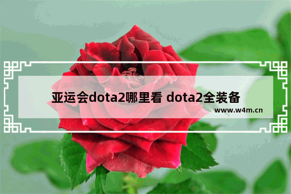 亚运会dota2哪里看 dota2全装备详解