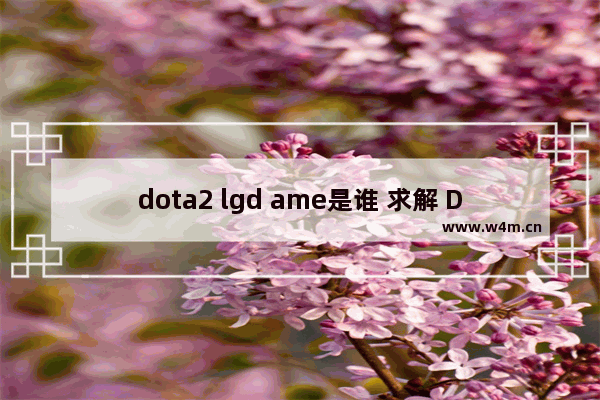 dota2 lgd ame是谁 求解 DOTA里NOOB是什么意思