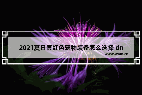 2021夏日套红色宠物装备怎么选择 dnf2021夏日套称号叫什么