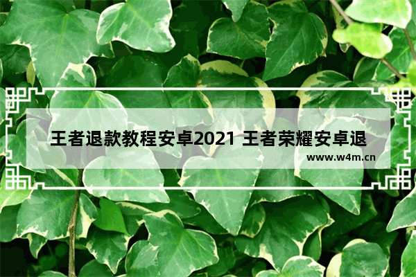 王者退款教程安卓2021 王者荣耀安卓退款