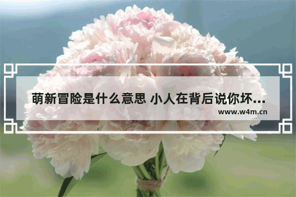 萌新冒险是什么意思 小人在背后说你坏话该怎么办