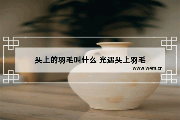 头上的羽毛叫什么 光遇头上羽毛