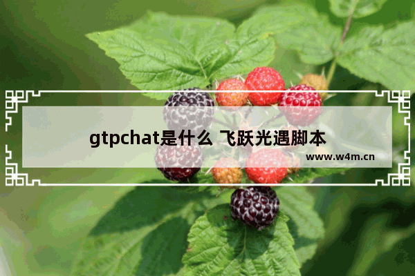 gtpchat是什么 飞跃光遇脚本