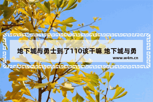 地下城与勇士到了110该干嘛 地下城与勇士110级版本还能刷魔剑