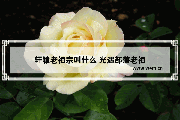 轩辕老祖宗叫什么 光遇部落老祖