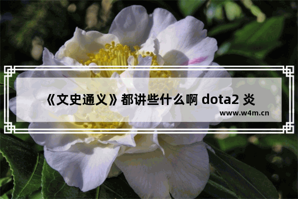 《文史通义》都讲些什么啊 dota2 炎铸之袭