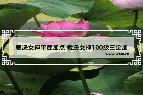 裁决女神平民加点 裁决女神100级三觉加点