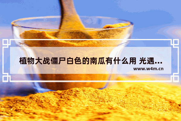 植物大战僵尸白色的南瓜有什么用 光遇白色南瓜