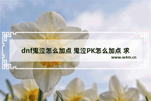 dnf鬼泣怎么加点 鬼泣PK怎么加点 求高人指点 ++的别来