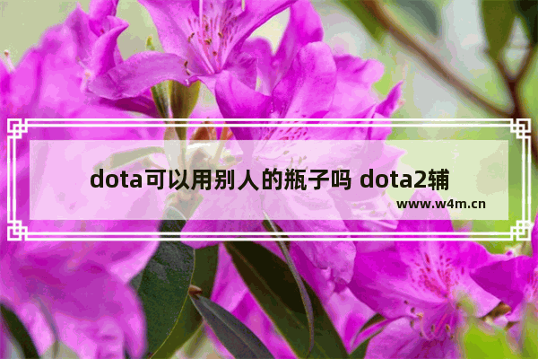 dota可以用别人的瓶子吗 dota2辅助怎么帮中路灌瓶子