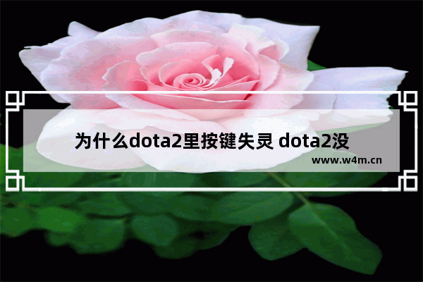 为什么dota2里按键失灵 dota2没办法改键