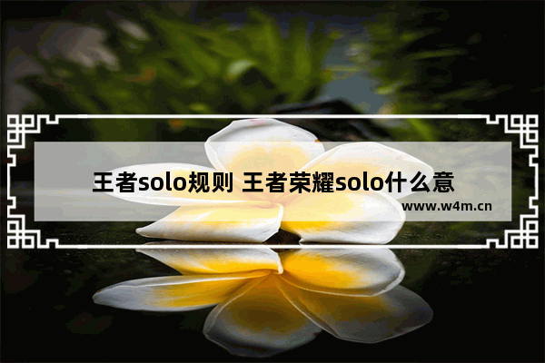 王者solo规则 王者荣耀solo什么意思