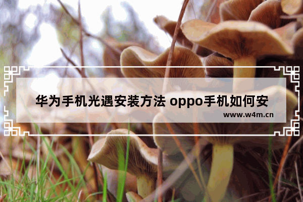 华为手机光遇安装方法 oppo手机如何安装光遇